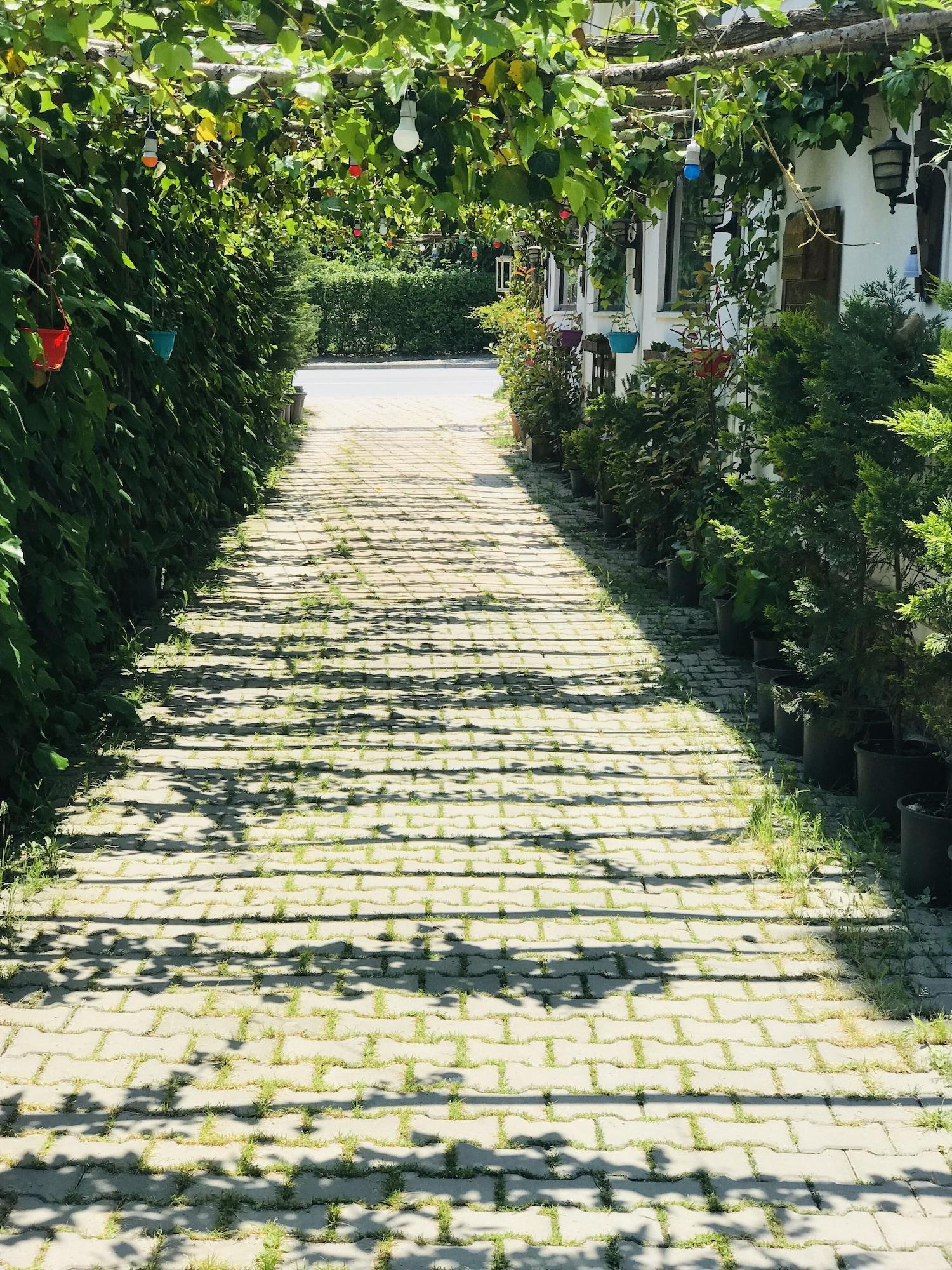 Sahra Butik Hotel سبانجا المظهر الخارجي الصورة